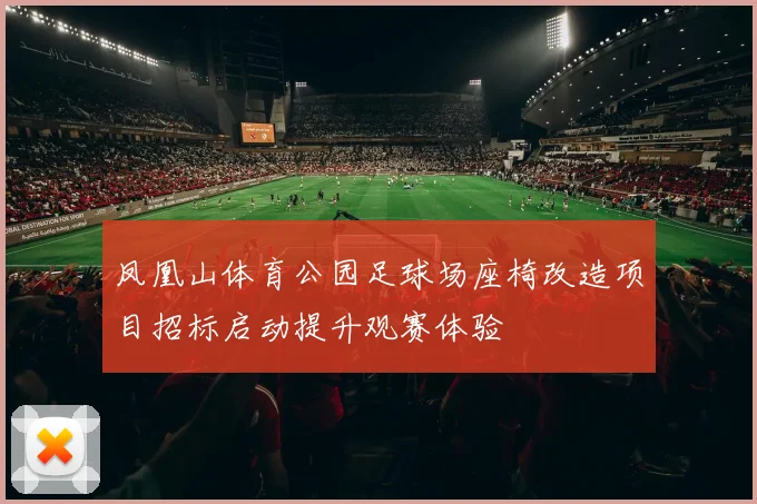凤凰山体育公园足球场座椅改造项目招标启动提升观赛体验
