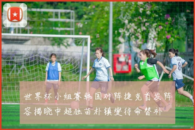 世界杯小组赛韩国对阵捷克首发阵容揭晓中超独苗朴镇燮待命替补